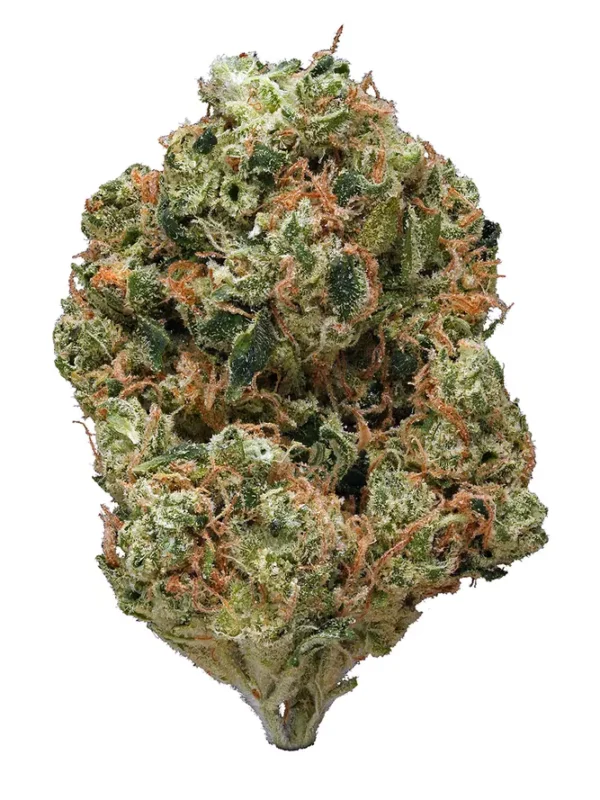 Obama OG Kush Marijuana Strain EU