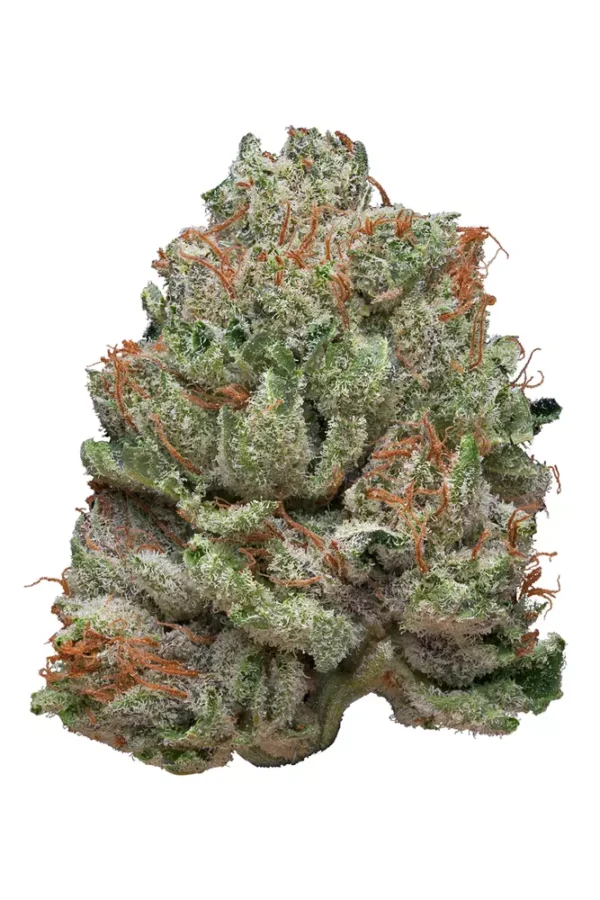 Platinum Wreck Cannabis Strain