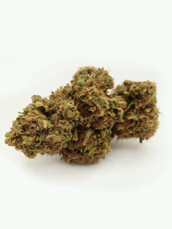 Amnesia CDB Strain EU