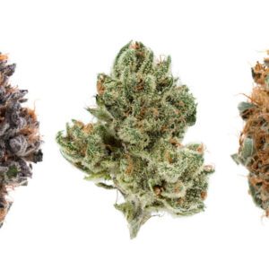 Buy Marijuana Strains Online EU