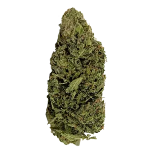 Cheese Cannabis Strain EU