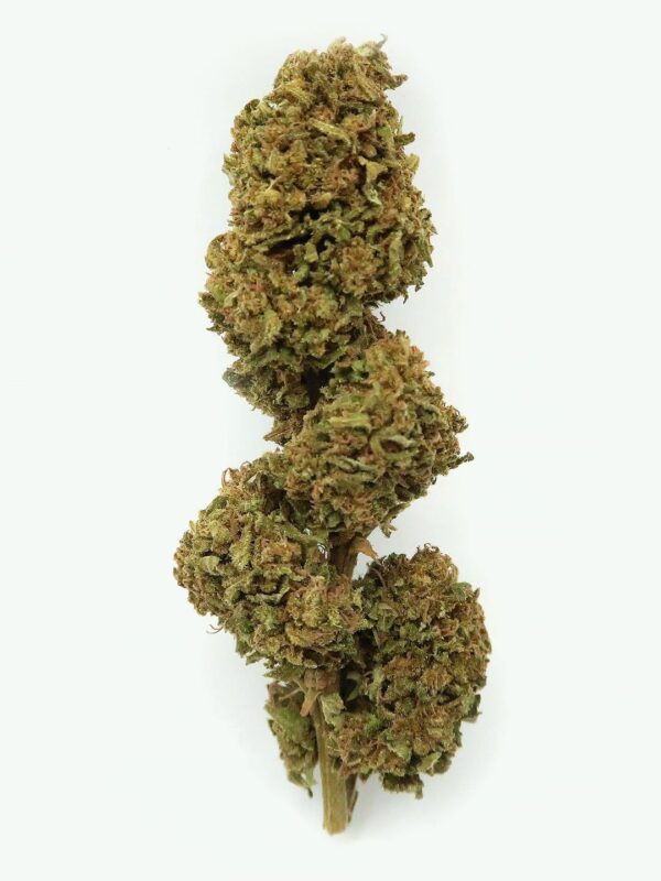 Fruit Cake Hemp Flower EU