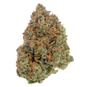 Fruitboots CBD Weed Strain EU