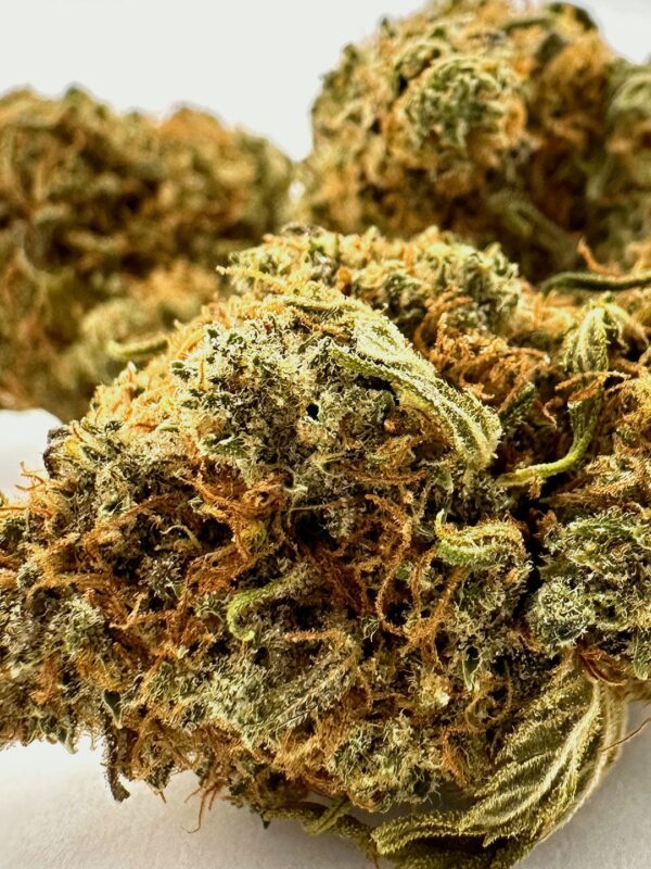 Mango Velvet Hemp Flower EU