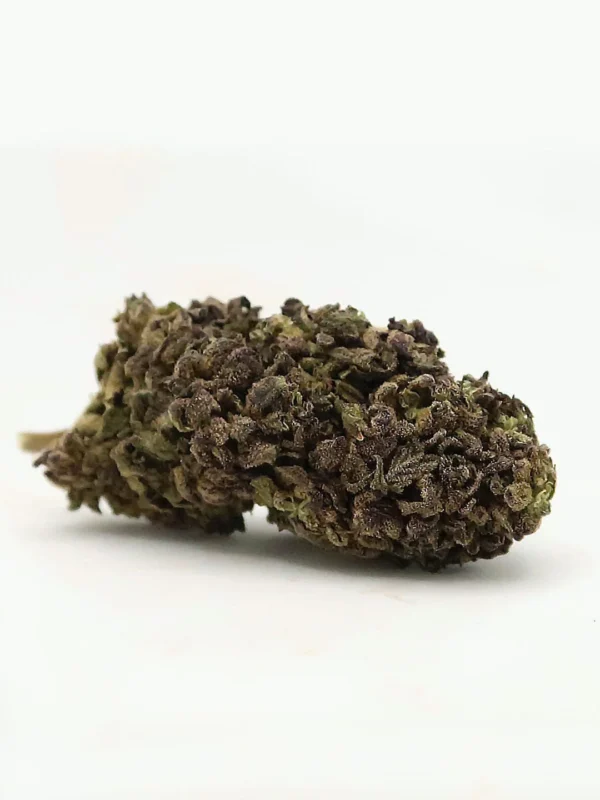 Mountain Berry CDB Flower EU