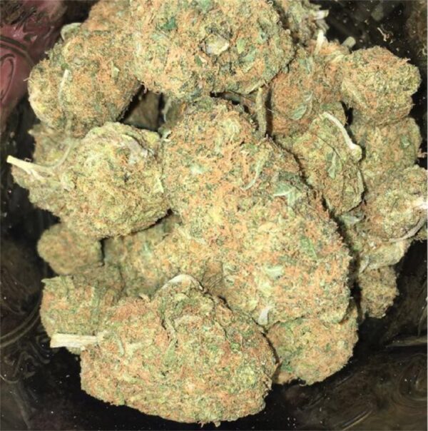 Platinum Cookies Cannabis Strain EU