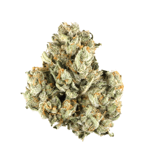 Purple Roze Marijuana Strain EU