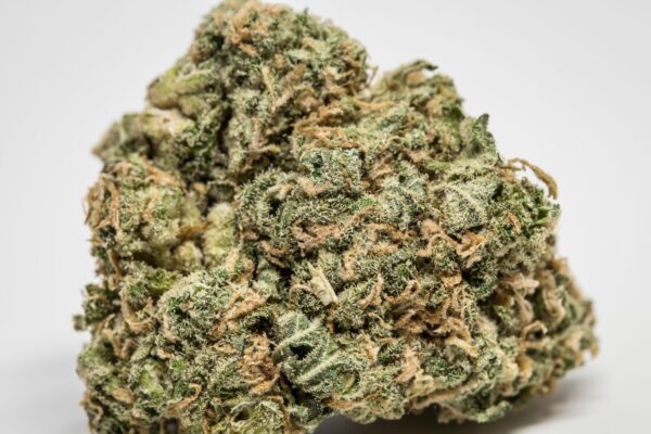 Shiva Skunk Marijuana Strain EU