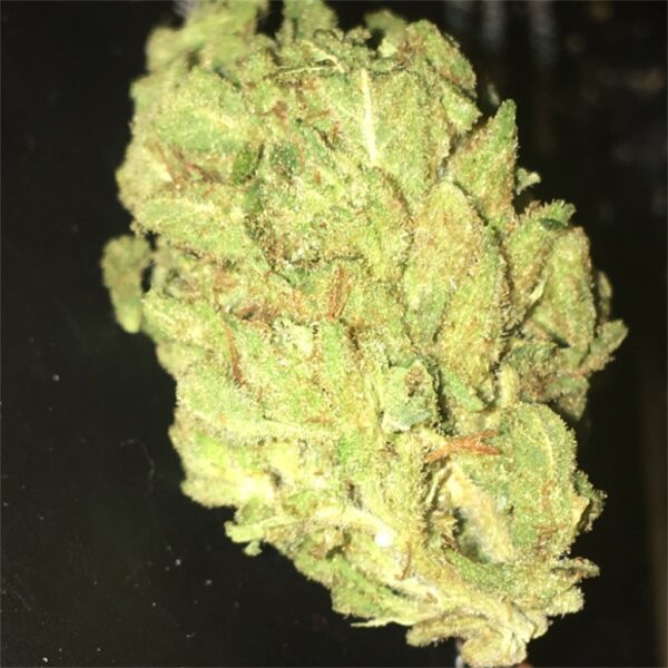 Super Sour Diesel Cannabis Strain EU