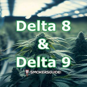 Delta 8 and 9 Marijuana Products EU